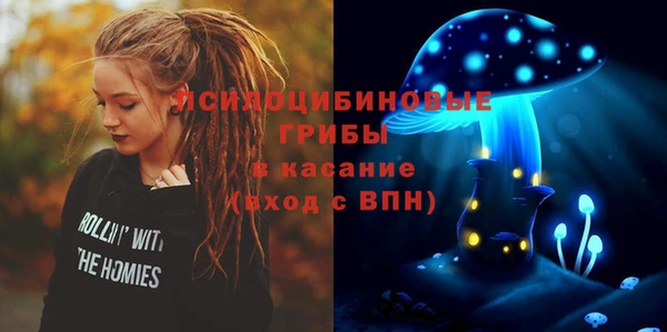 ешки Абинск