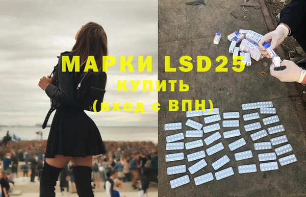 ГАЛЛЮЦИНОГЕННЫЕ ГРИБЫ Абаза