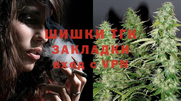 ГАЛЛЮЦИНОГЕННЫЕ ГРИБЫ Абаза
